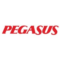 Pegasus Genç Yetenek Programı